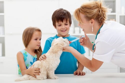 Vaccinations in Ware