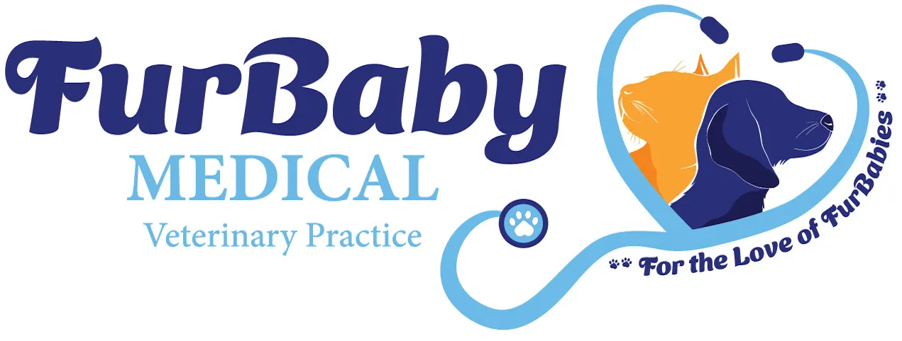 FurBaby Medical Veterinary Practice LLC