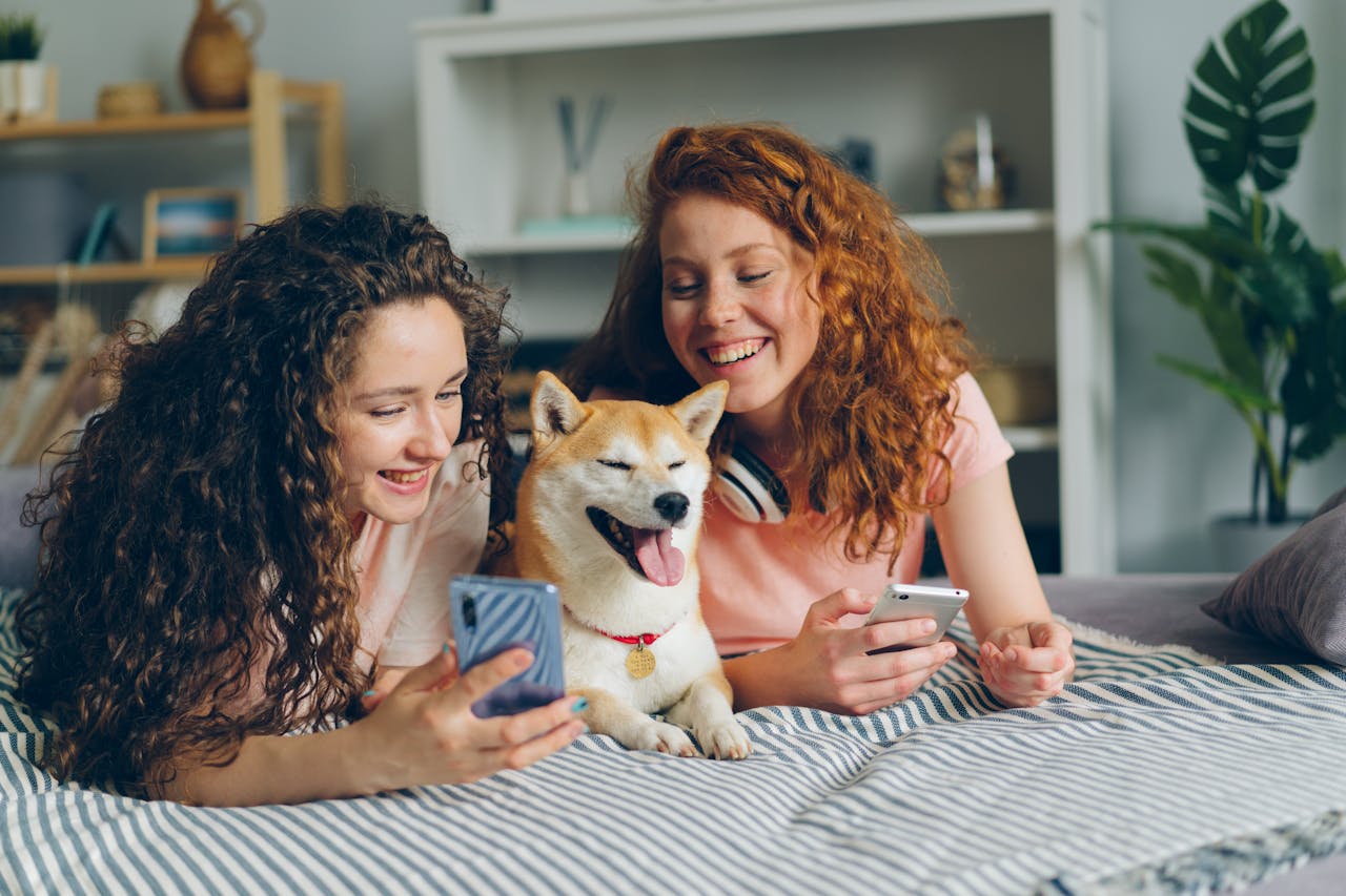 Pet Parent Portal & App
